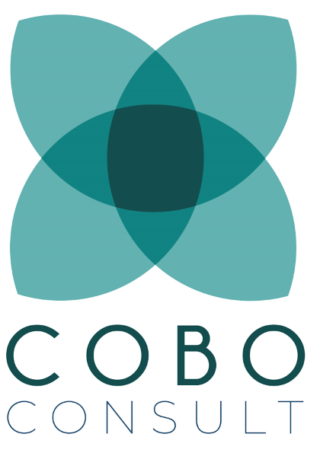 Cobo Consult Logo