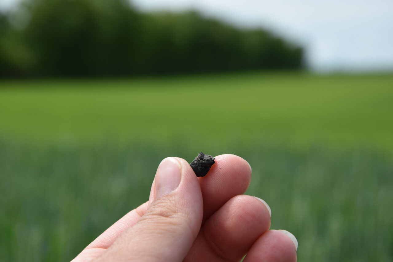 et stykke biokul mellem to fingre ude på en mark i solskinsvejr