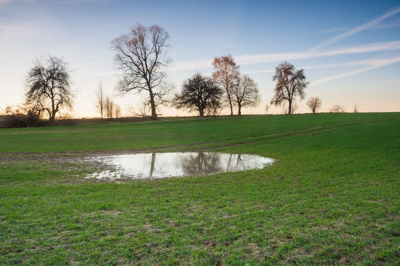 Terrænnært grundvand: Fra udfordring til forretningsmulighed for SMV’er og startups