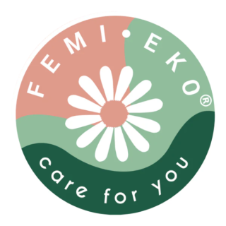 Femi.Eko logo