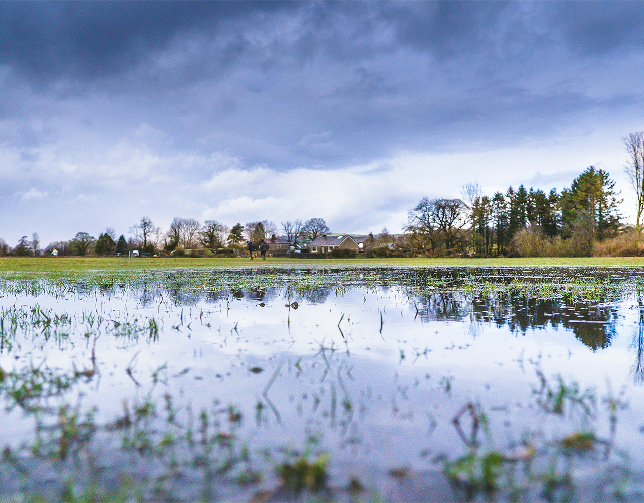 en oversvømmet græsplæne