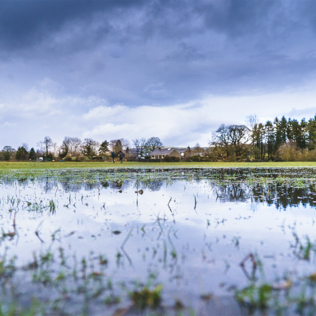 en oversvømmet græsplæne